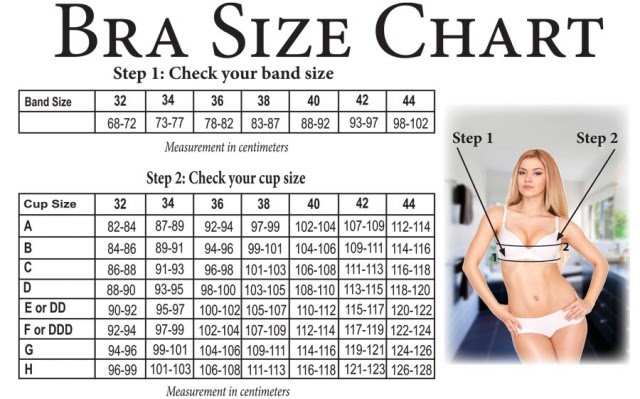 bra size chart